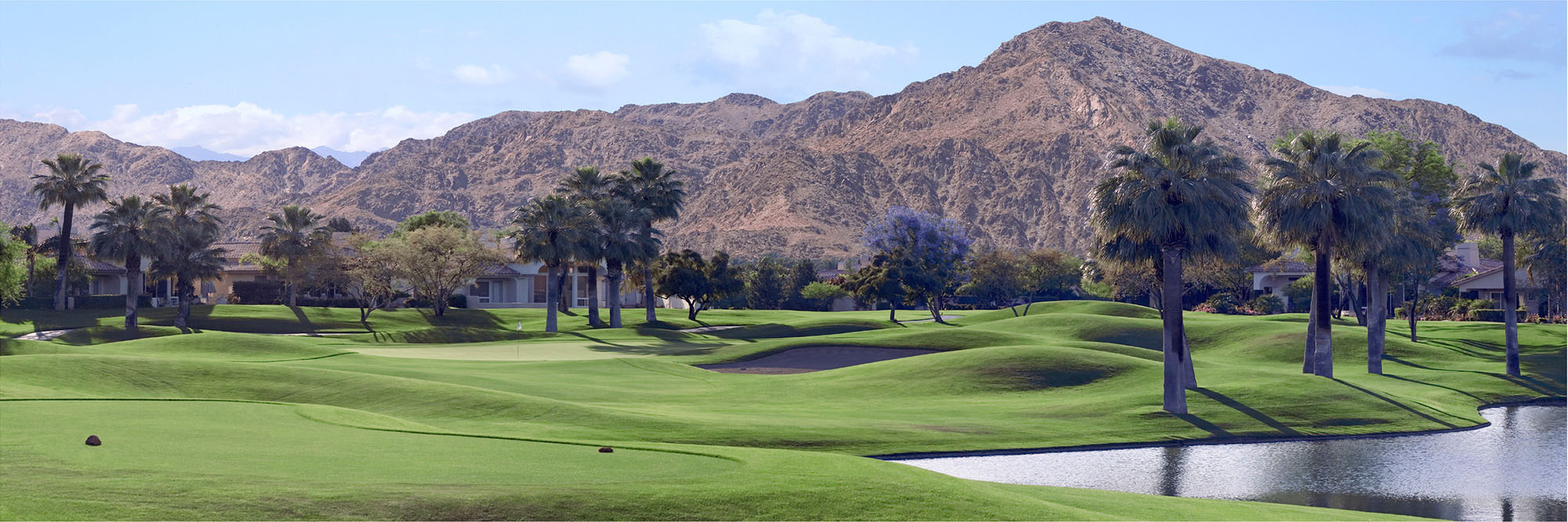 Rancho La Quinta Jones No. 15