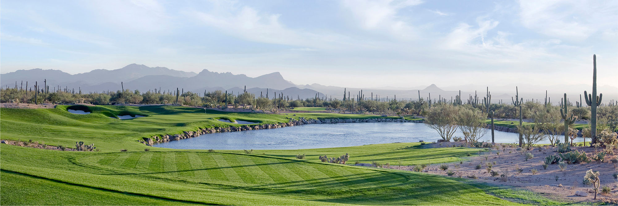 Ritz Carlton Dove Mountain No. 3