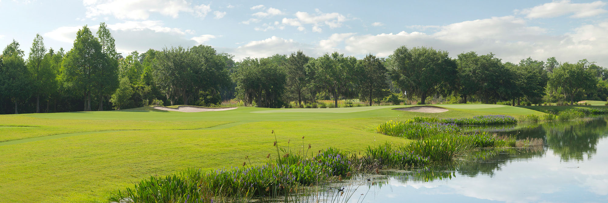 Ritz-Carlton Orlando No. 12