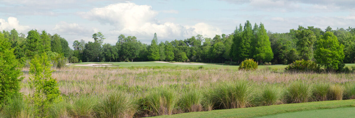 Ritz-Carlton Orlando No. 8