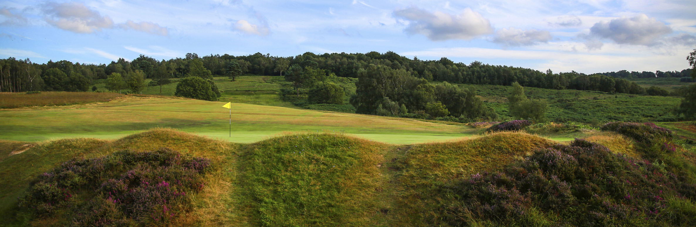 Golf Course Image - Royal Ashdown Forets Golf Club No. 11