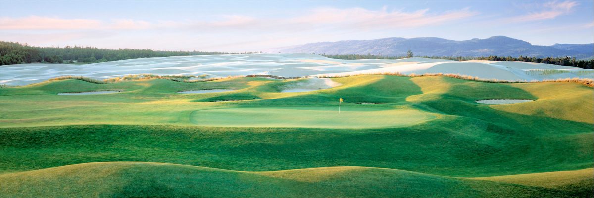 Sandpines No. 7