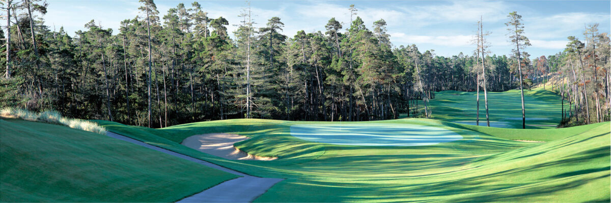 Sandpines No. 8