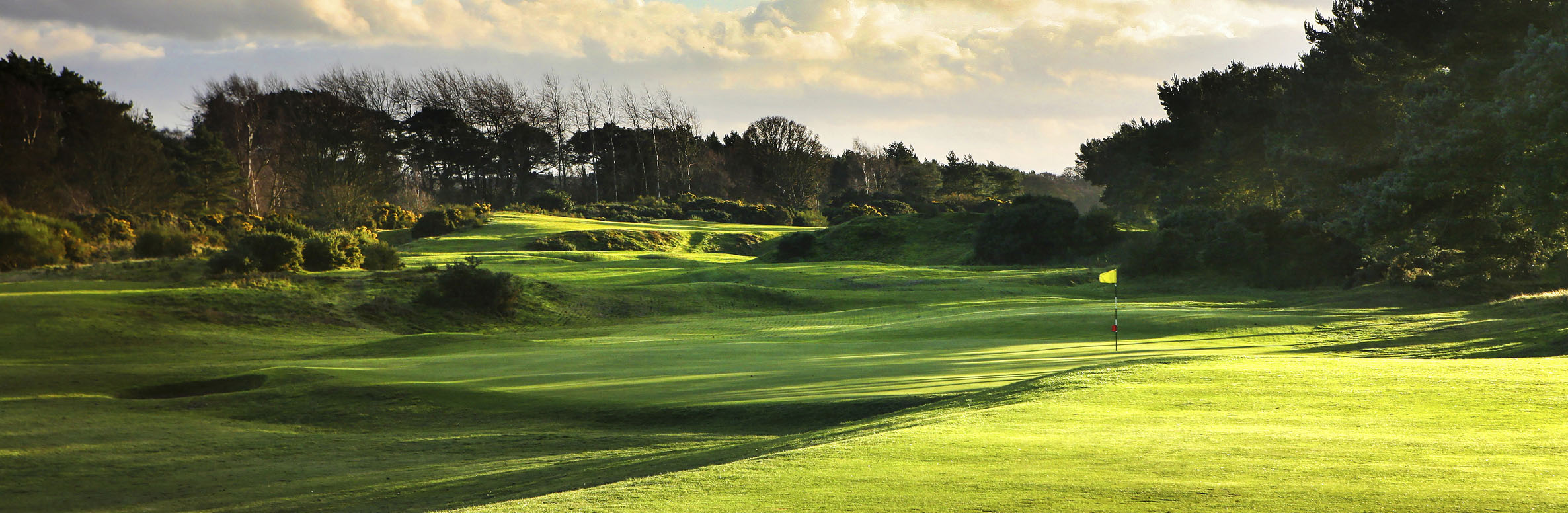 Scotscraig Golf Club No. 7