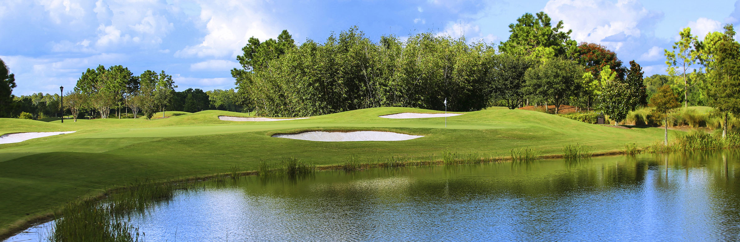 Shingle Creek Golf Club No. 8