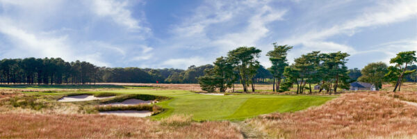 Full canvas image of golf course.