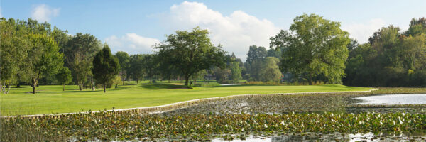 Full canvas image of golf course.
