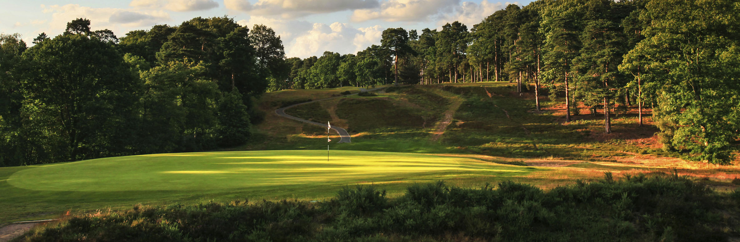 St Georges Hill Golf Club No. 8