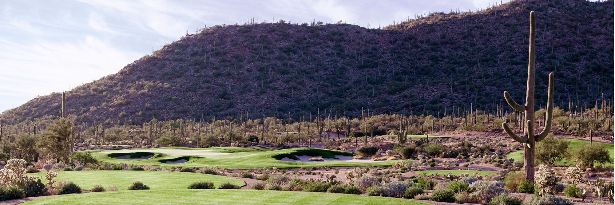 Ritz Carlton Dove Mountain No. 7