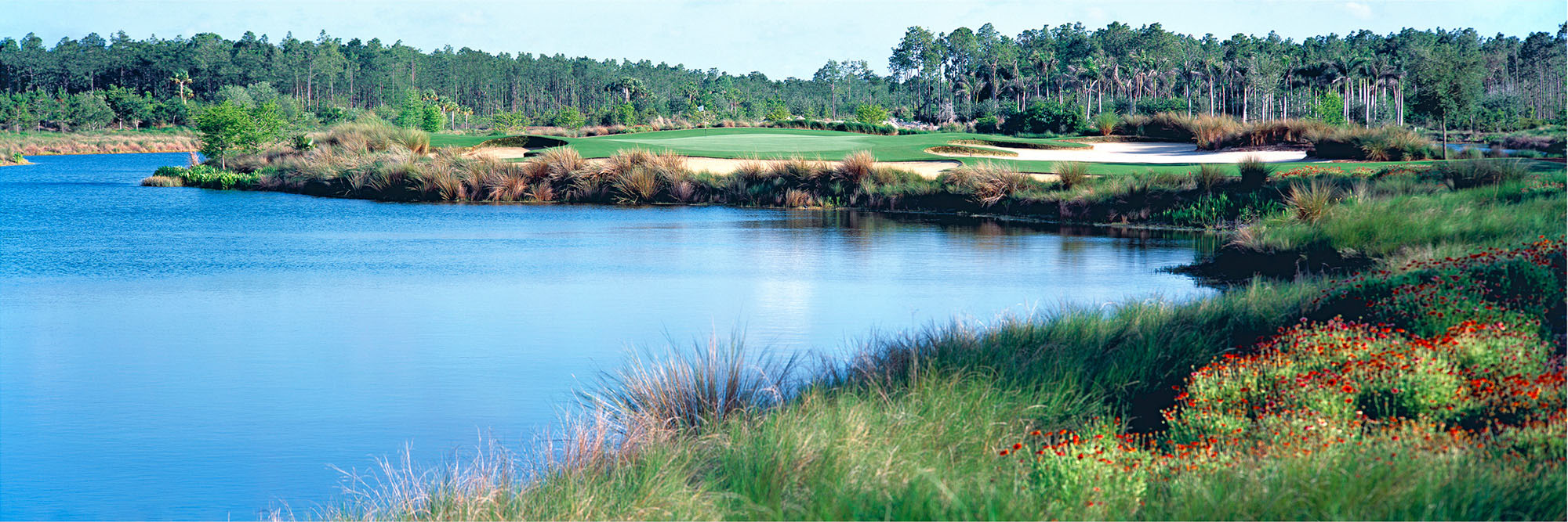 Tiburon Gold Course No. 5