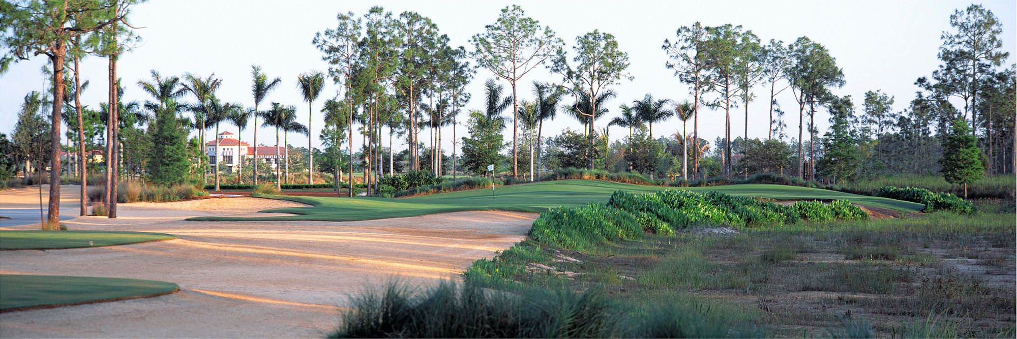 Tiburon Gold Course No. 8