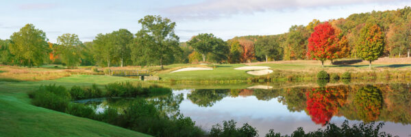 Full canvas image of golf course.