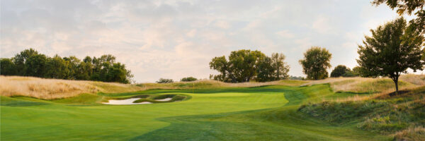 Full canvas image of golf course.