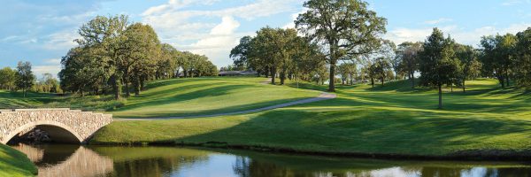 Full canvas image of golf course.