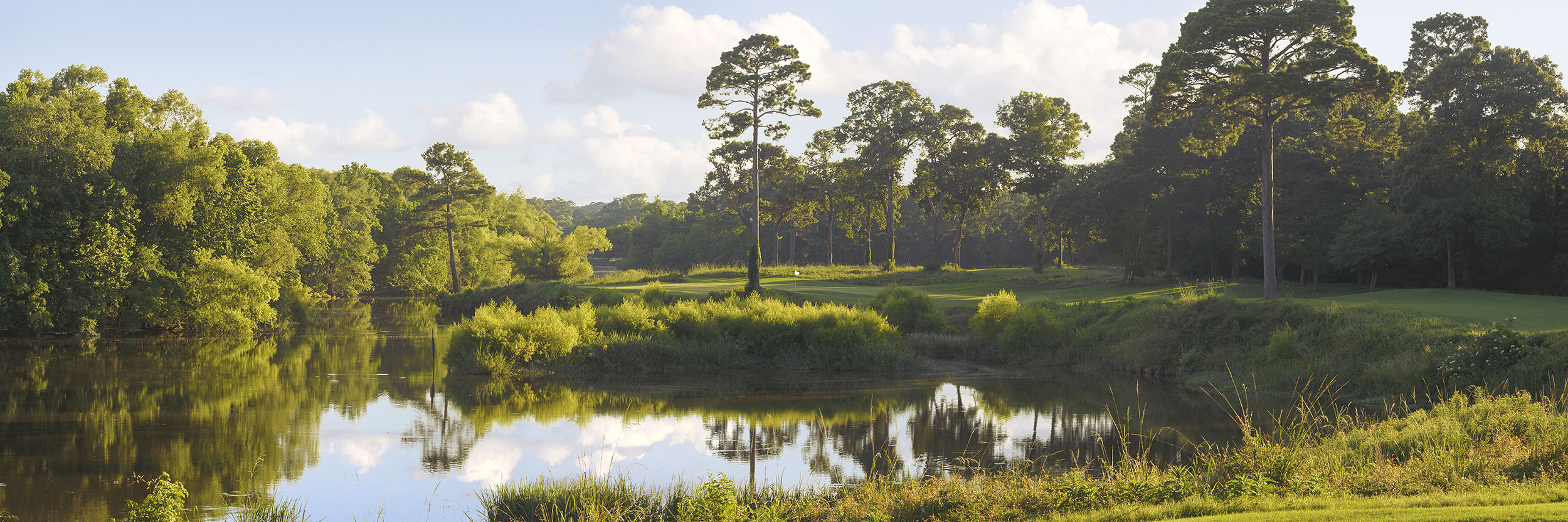 Whispering Pines No 14