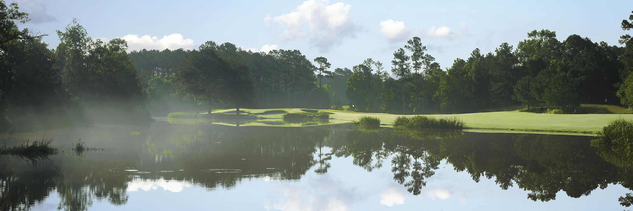 Whispering Pines No 5