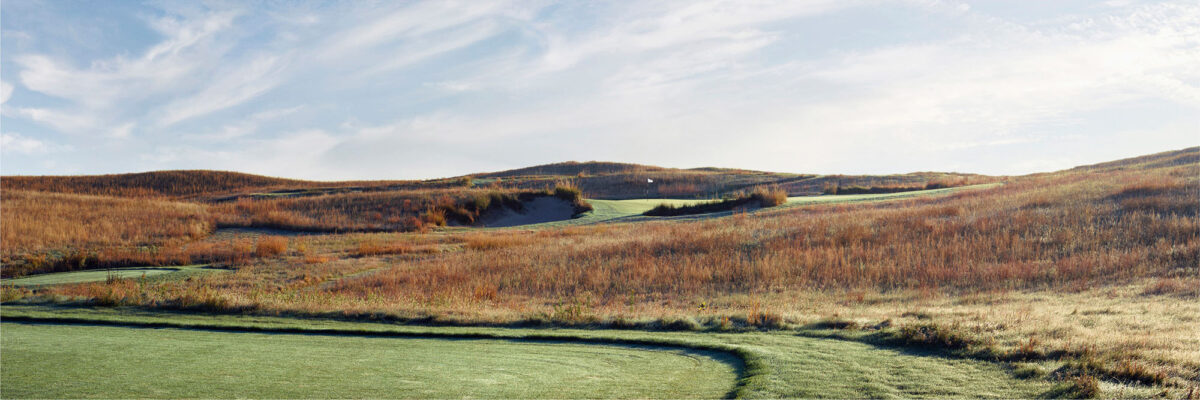 Wild Horse No. 11