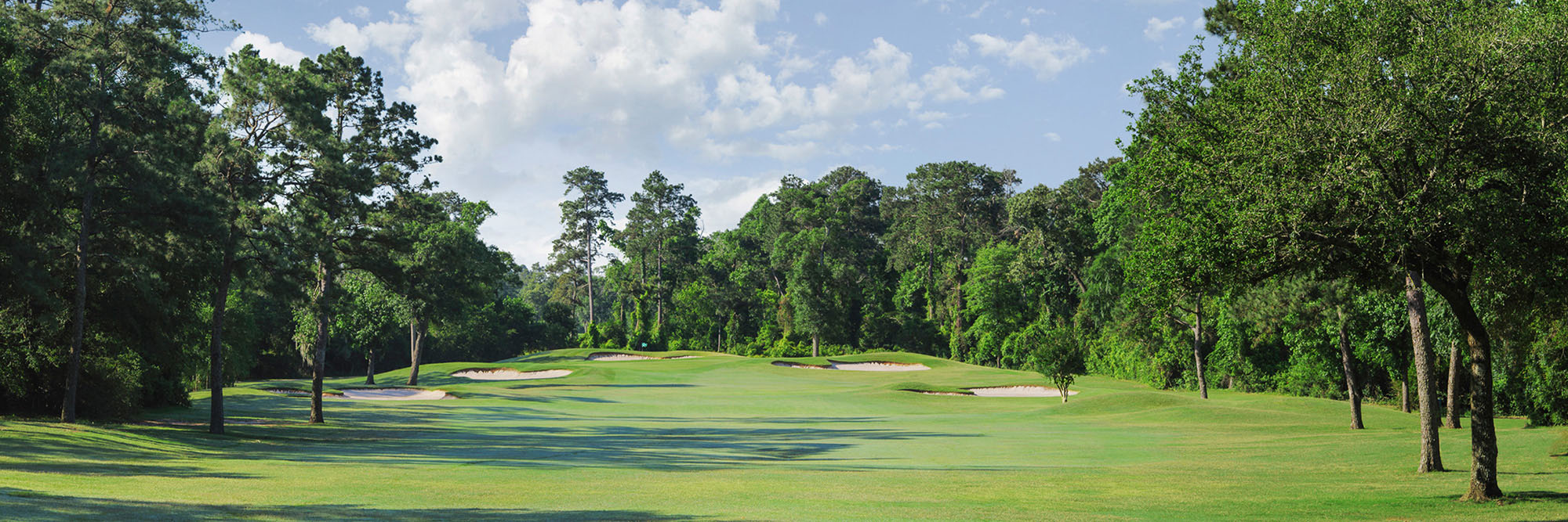 Woodlands-Oak Course No. 4