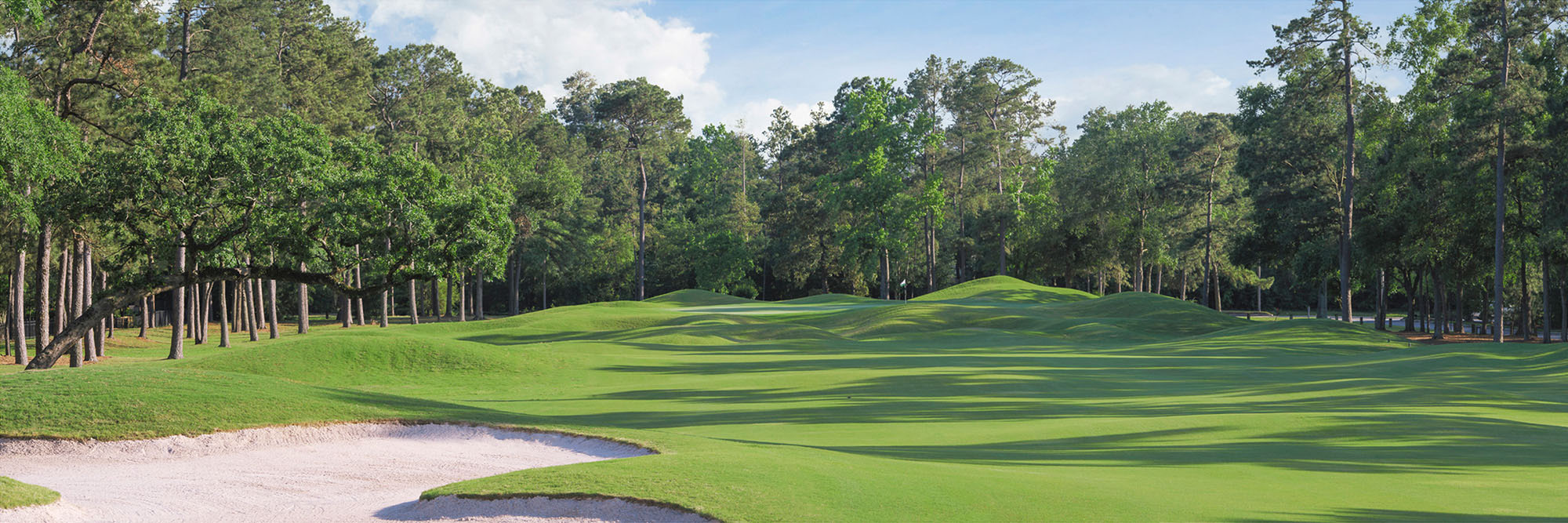 Woodlands-Palmer King Course No. 5