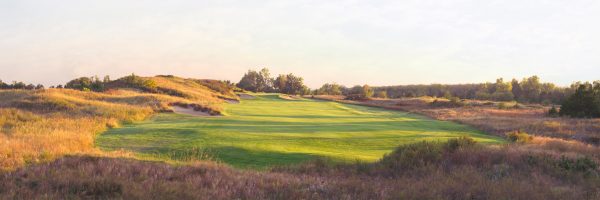 Full canvas image of golf course.