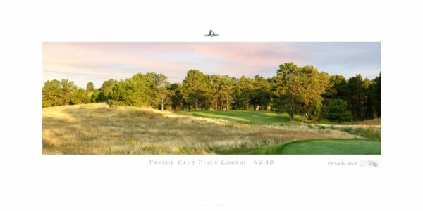 The Prairie Club Pines No. 10