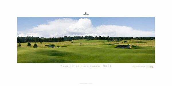The Prairie Club Pines No. 14