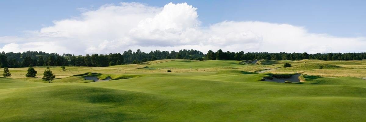 The Prairie Club Pines No. 14