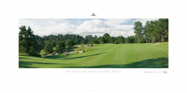 The Prairie Club Pines No. 16