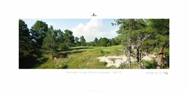 The Prairie Club Pines No. 17