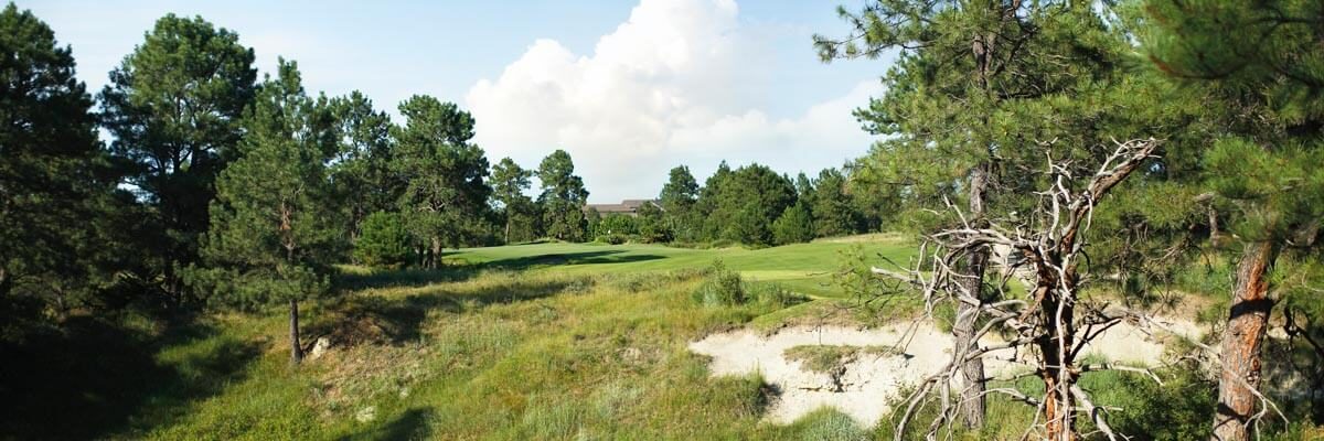 The Prairie Club Pines No. 17