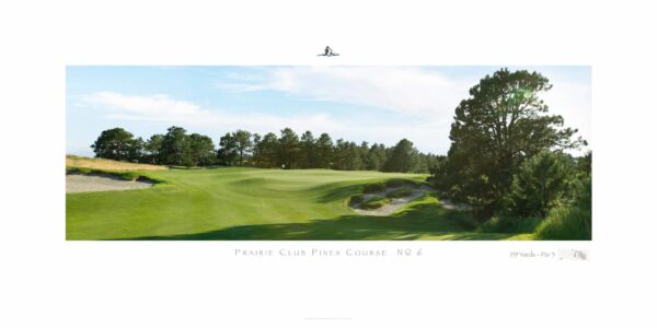 The Prairie Club Pines No. 6