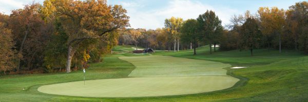 Full canvas image of golf course.